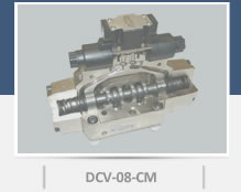 Cutaway Model DCV-08-CM