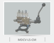 Cutaway Model MDCV-LS-CM